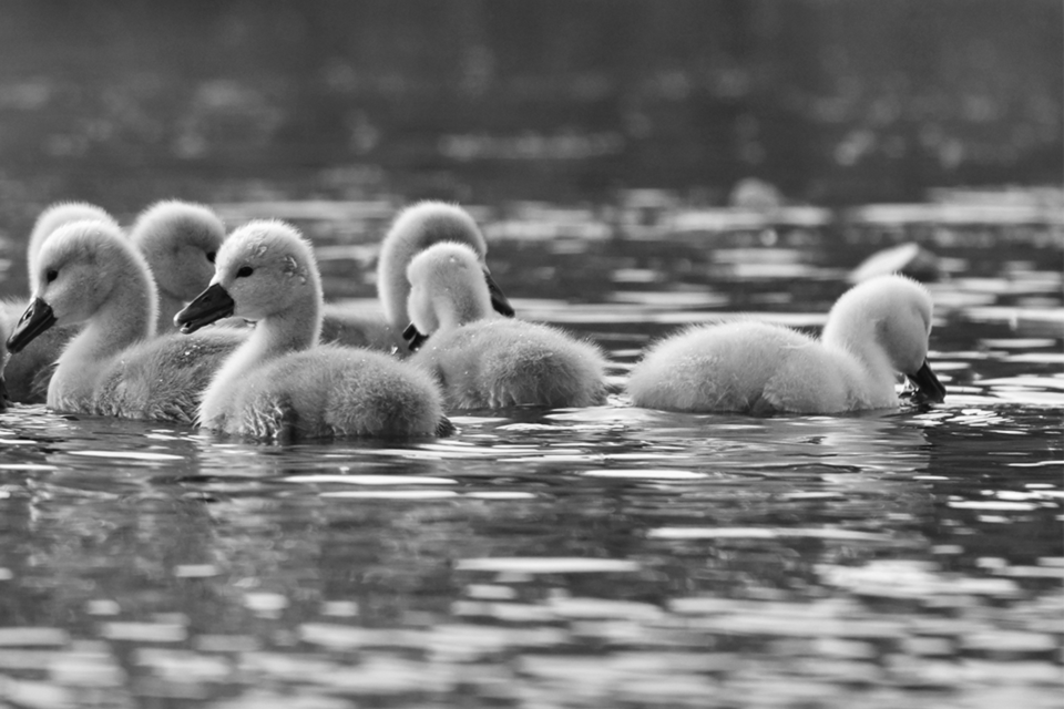 leica sofort 2 example 3