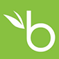 bamboohr logo