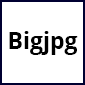 빅 JPG 로고
