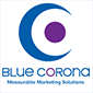 blue corona wow services alternative logo