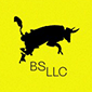bs llc logo