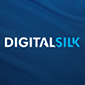 digital silk kexino alternative logo