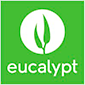 eucalypt media attrock digital marketing company alternative