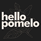 hola pomelo colateral agencia de marketing digital logo alternativo