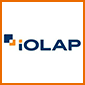 iolap sysbunny alternative logo