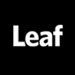 leaf design logo