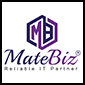 matebiz indy web designers services alternative logo