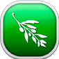 olive logo