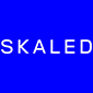 skaled netclues alternative logo