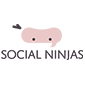 logotipo alternativo da terra digital dos ninjas sociais