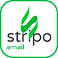 stripo logo
