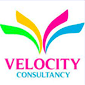 velocity consultancy logo
