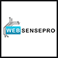 websensepro saglotech alternative logo