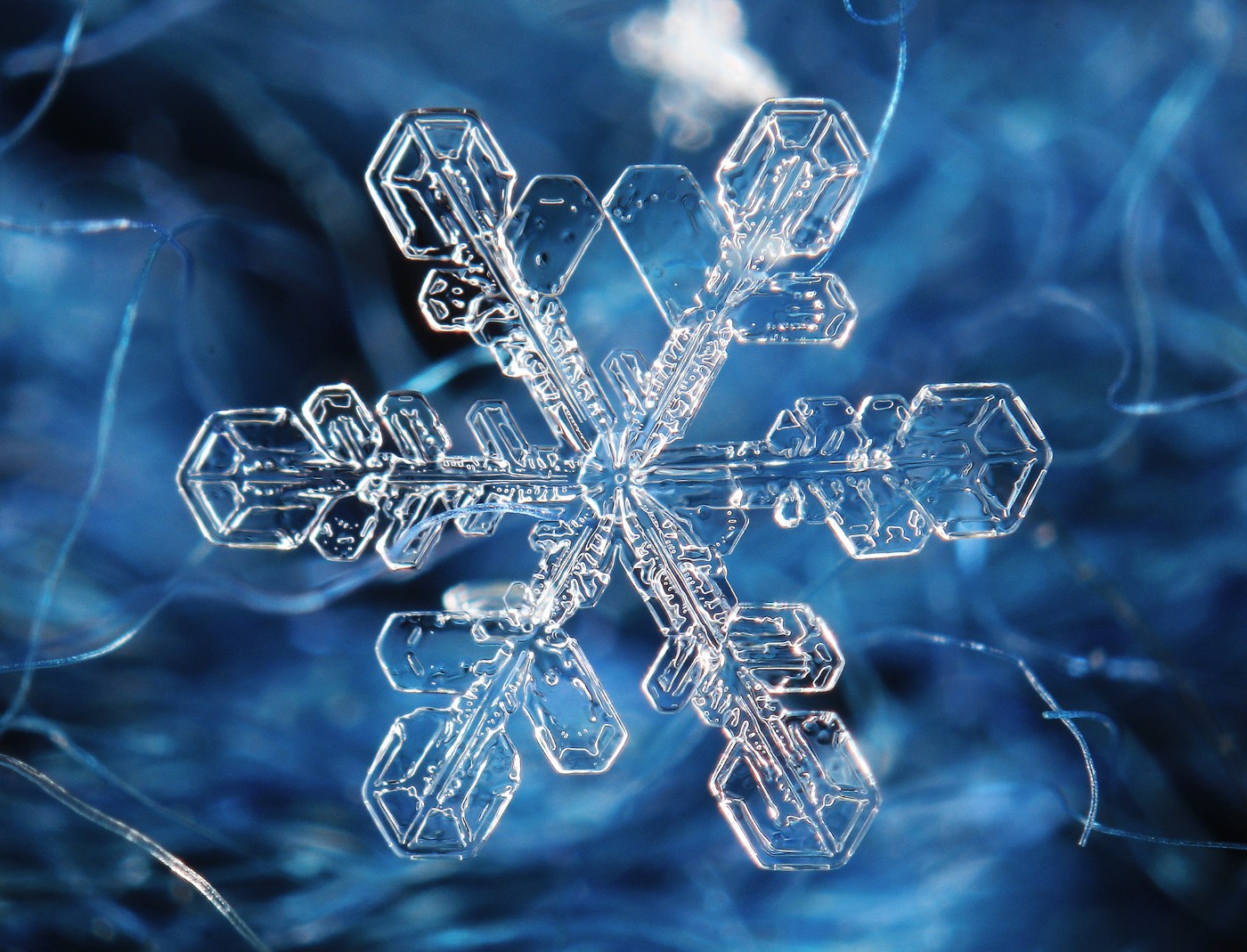 10 Snowflake Photography Ideas to Try in 2025