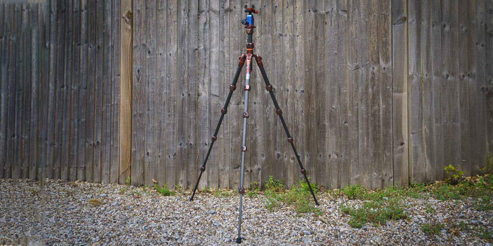 3 legged thing legends bucky lifestyle