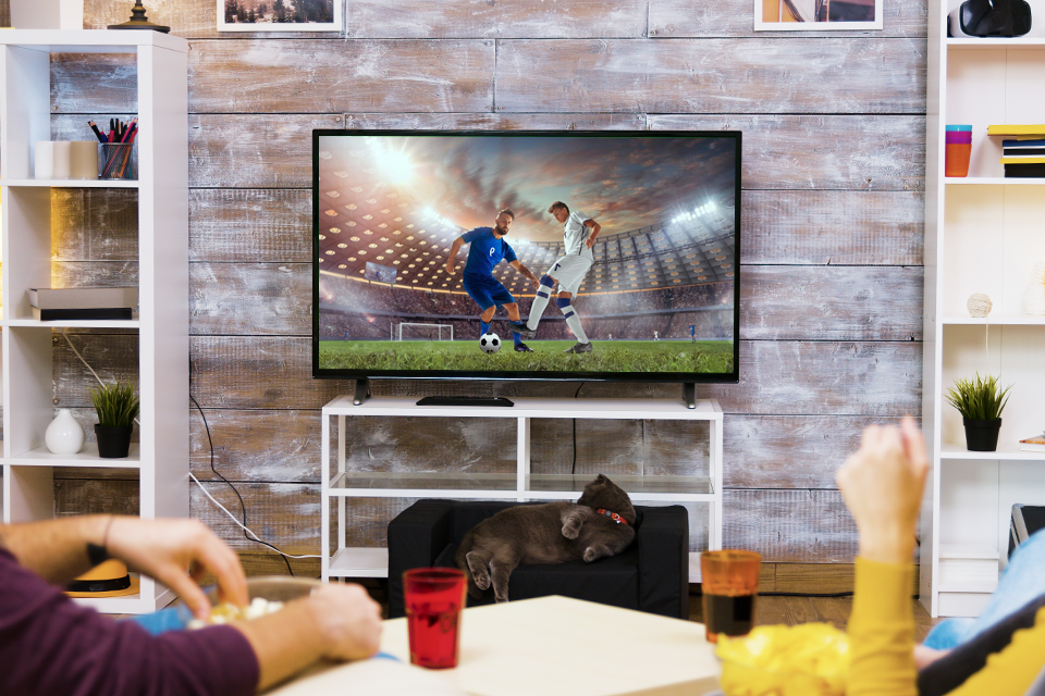 48 inch tv watching shows