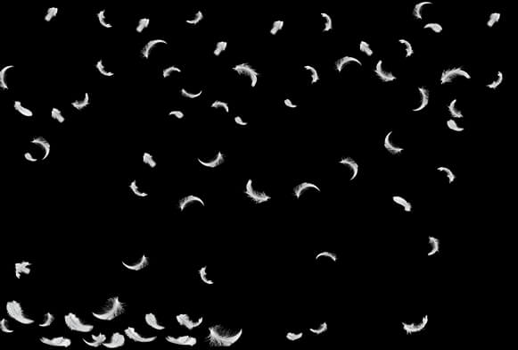 free bubble photoshop overlay
