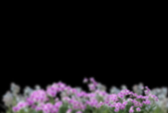colored powder explosion png