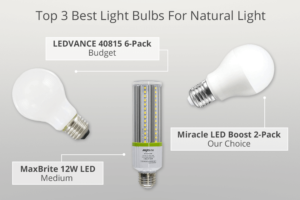 The 3 Best LED Light Bulbs of 2024