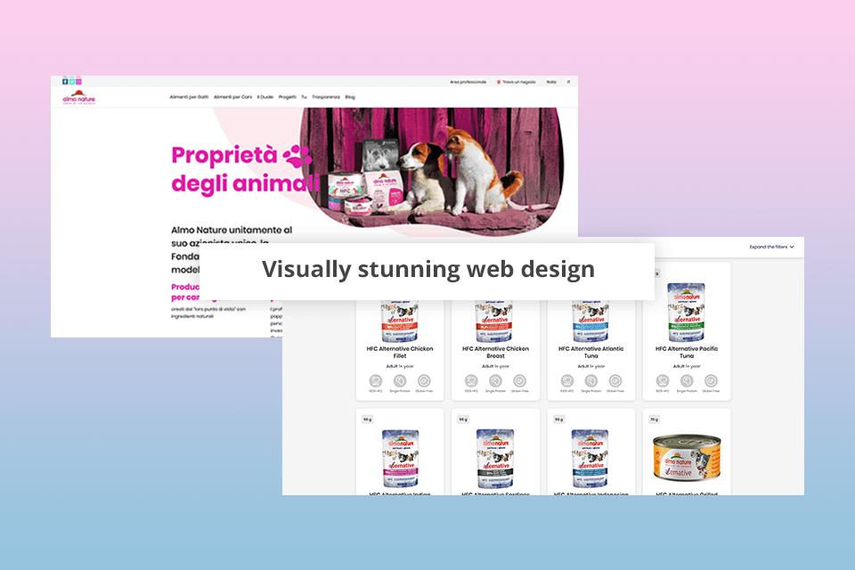 a2 design web design example