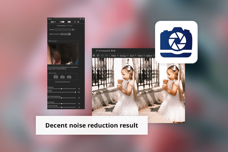 acdsee noise reduction