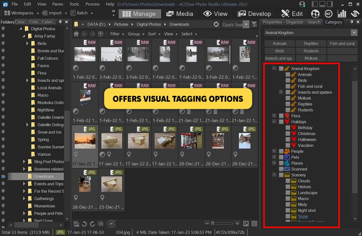 acdsee photo studio daminion alternative