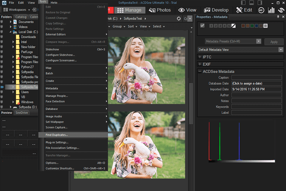 acdsee photo studio digikam alternative interface
