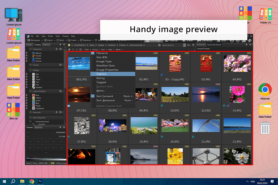 acdsee pro 10 screen