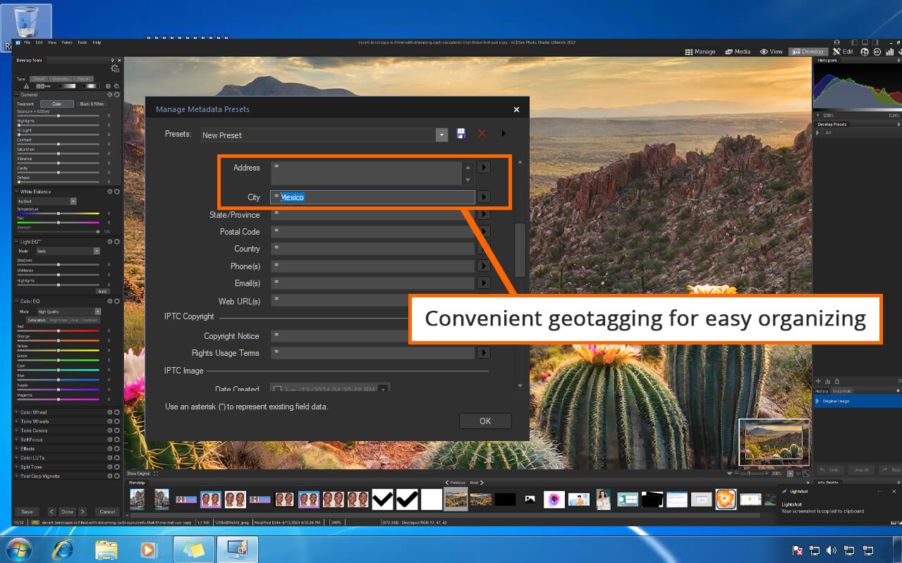 acdsee pro 7 interface
