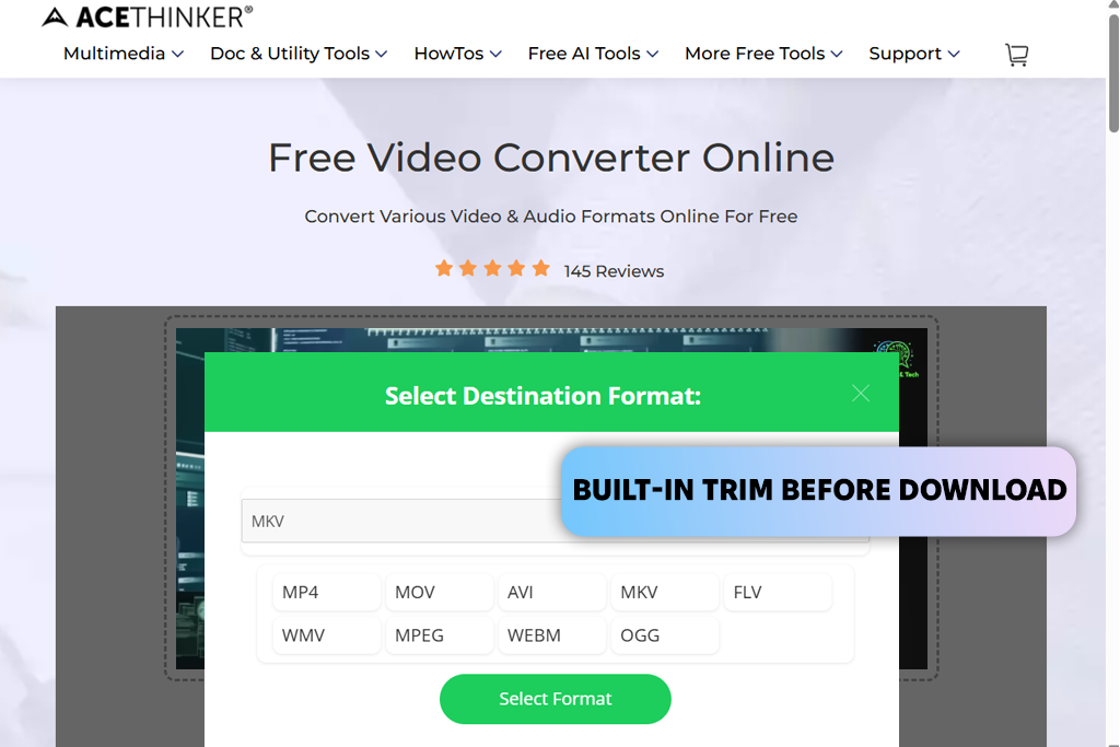 acethinker youtube to mkv converter