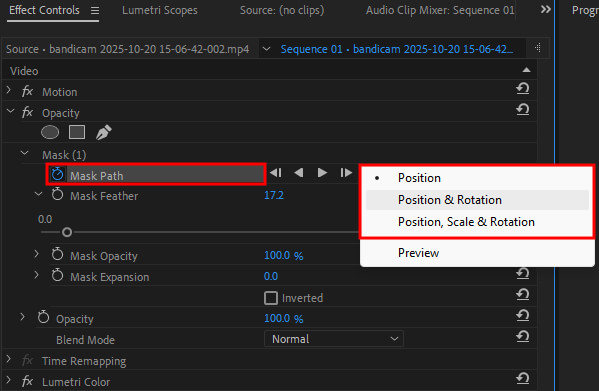 adjust the mask made with auto object masking in adobe premiere pro