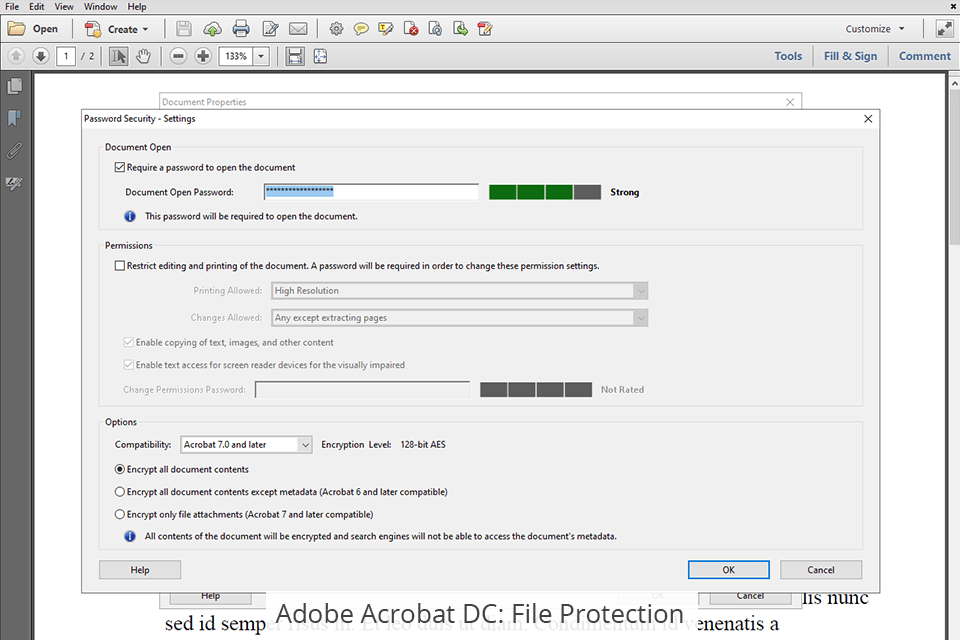 adobe acrobat dc file protection