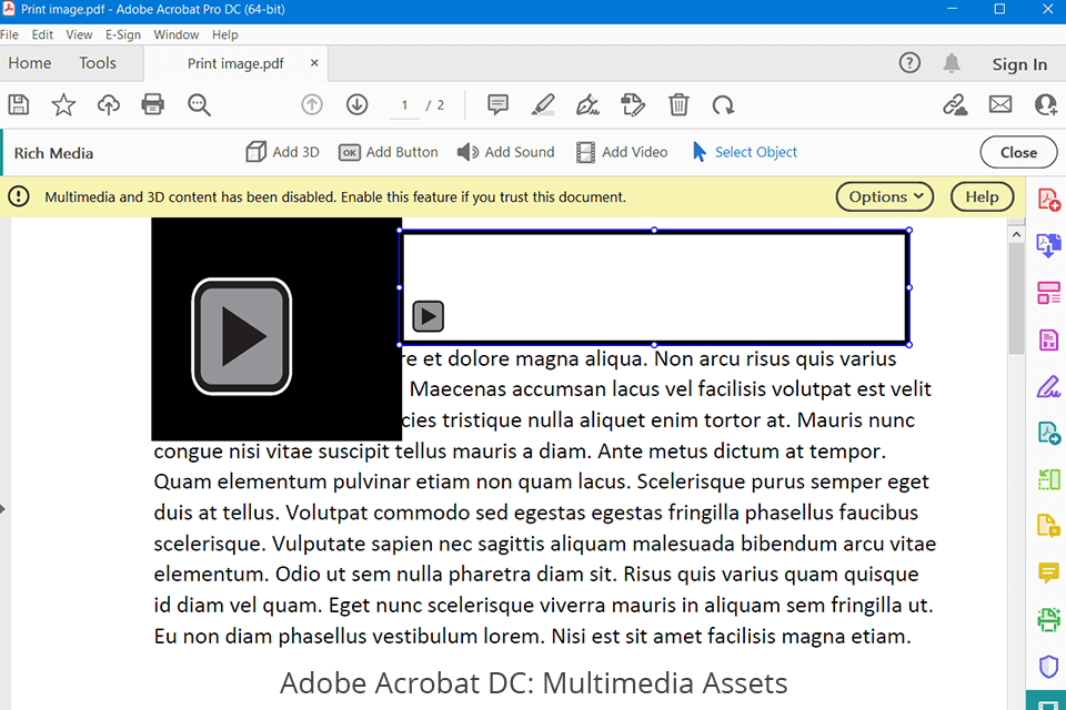 adobe acrobat dc multimedia assets