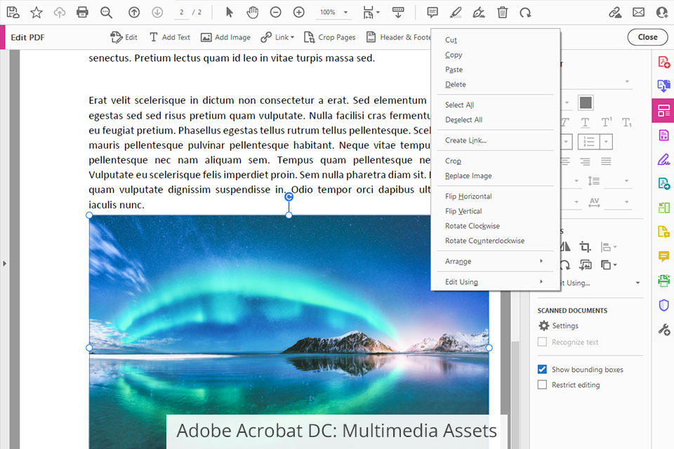 adobe acrobat dc multimedia assets