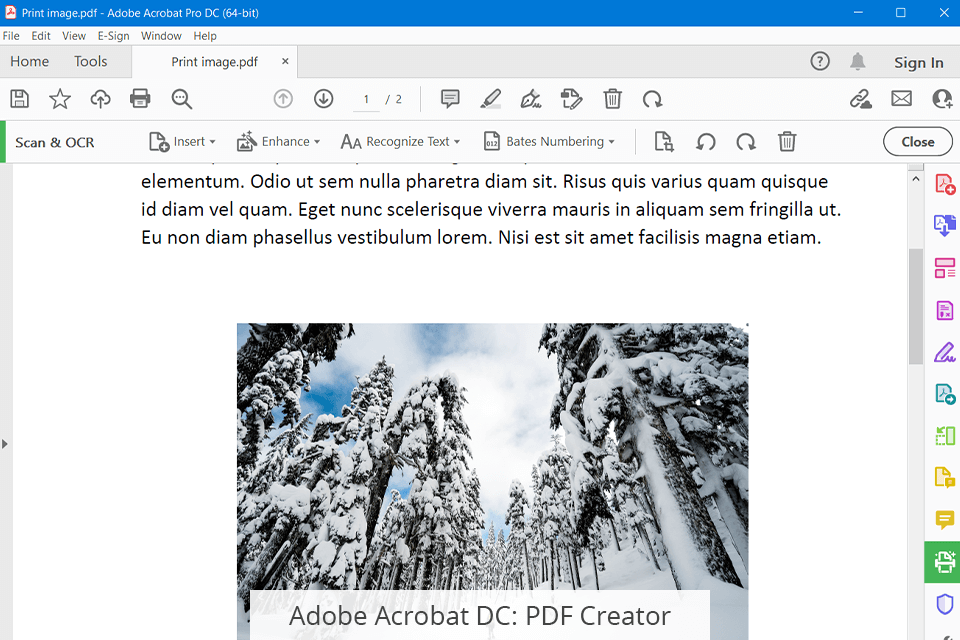 adobe acrobat dc pdf creator