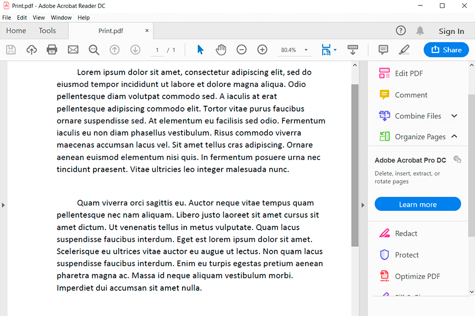 adobe acrobat dc pdf expert alternative interface