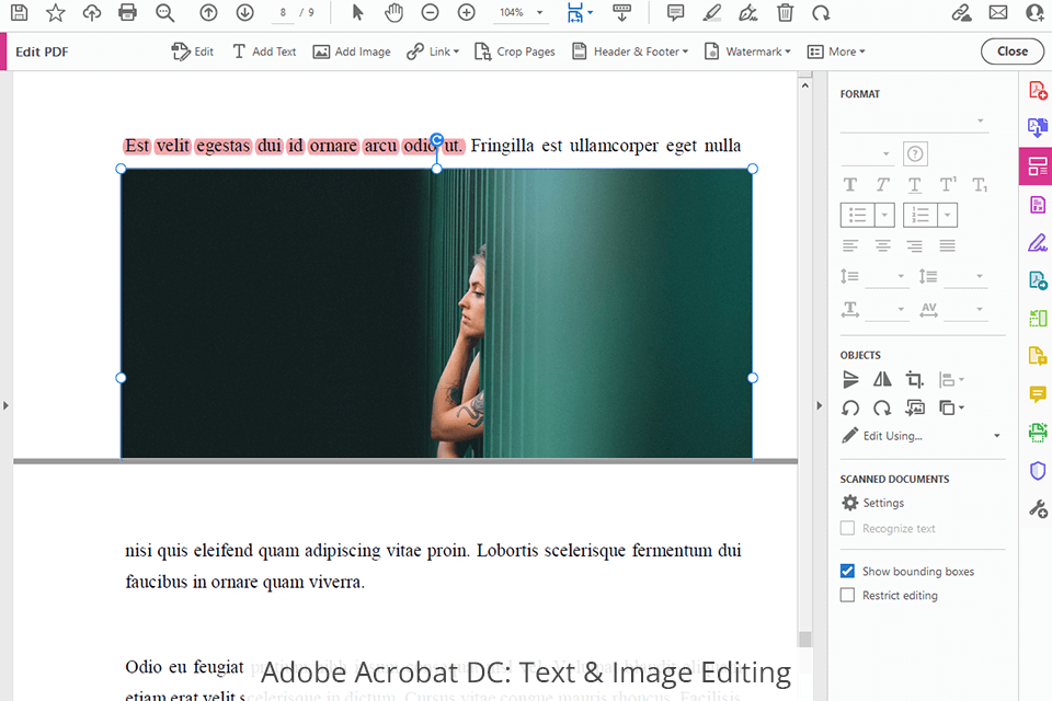 adobe acrobat dc text and image editing
