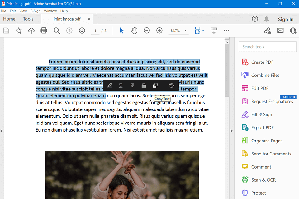 adobe acrobat easeus pdf editor alternative interface