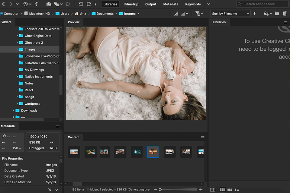 adobe bridge digikam alternative interface