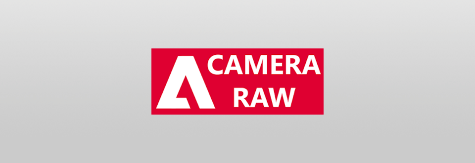 adobe camera raw logo