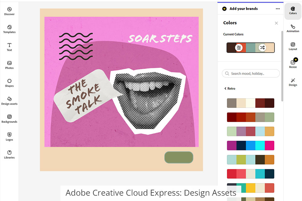 adobe creative cloud express أصول التصميم