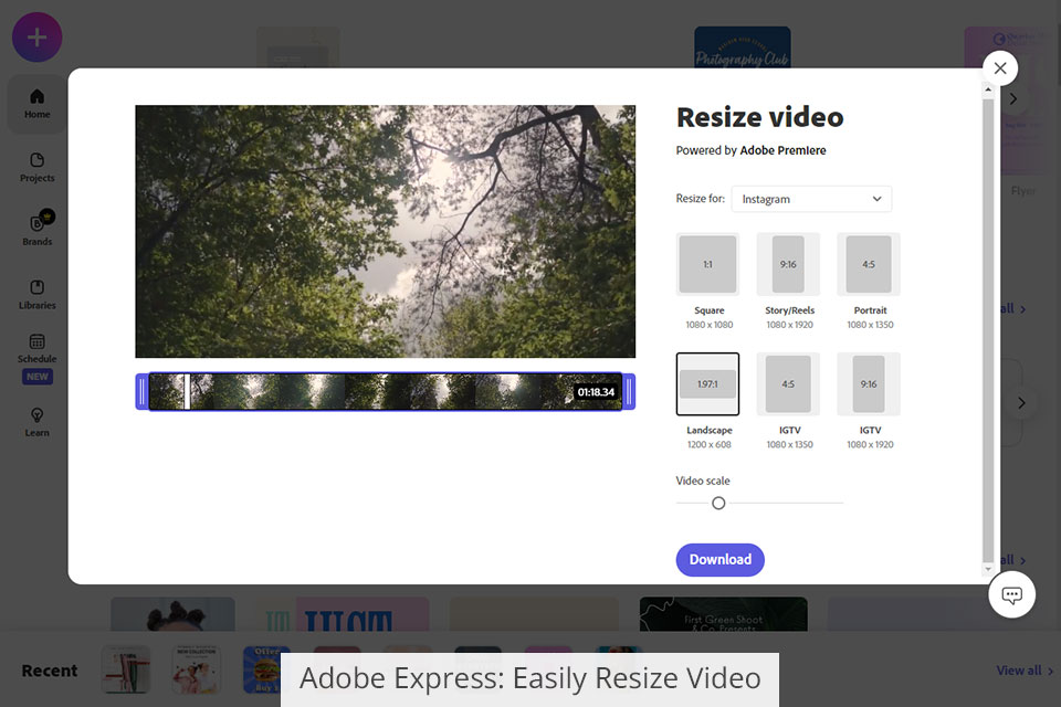adobe creative cloud express تغيير حجم الفيديو