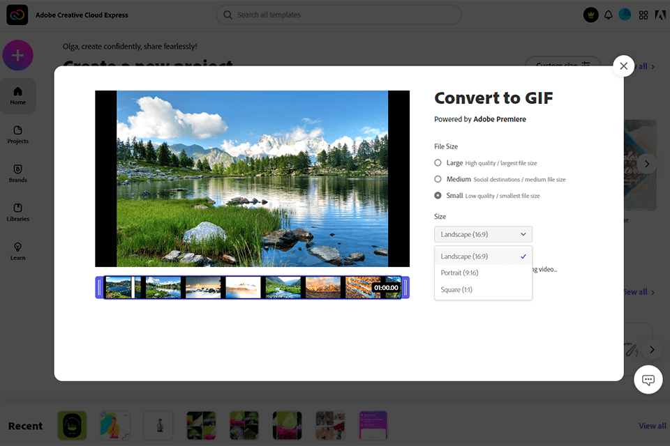 FreeEase Software - Free Easy Video to GIF Converter - Overview - Free  Video to GIF Converter Converts Video to GIF