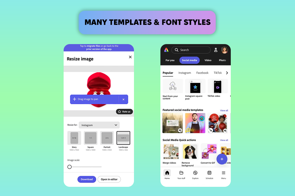 adobe express instasize alternative interface