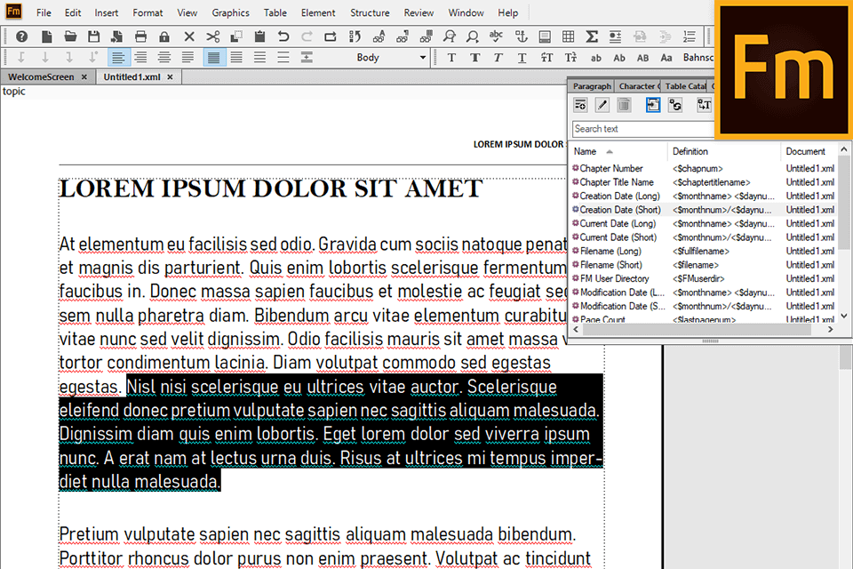 واجهة Adobe FrameMaker