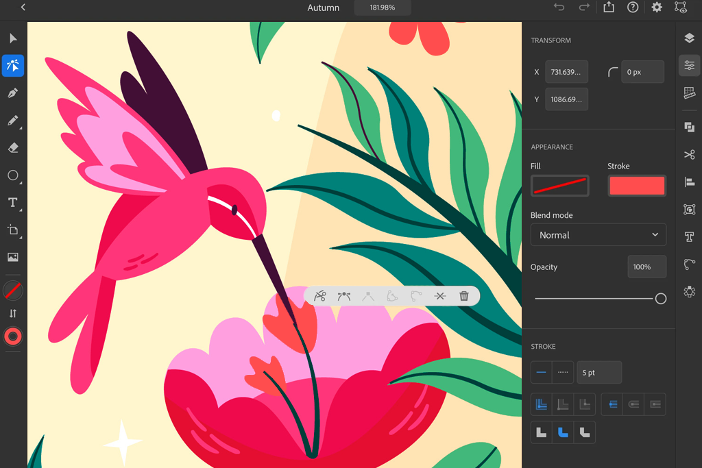 adobe illustrator on ipad