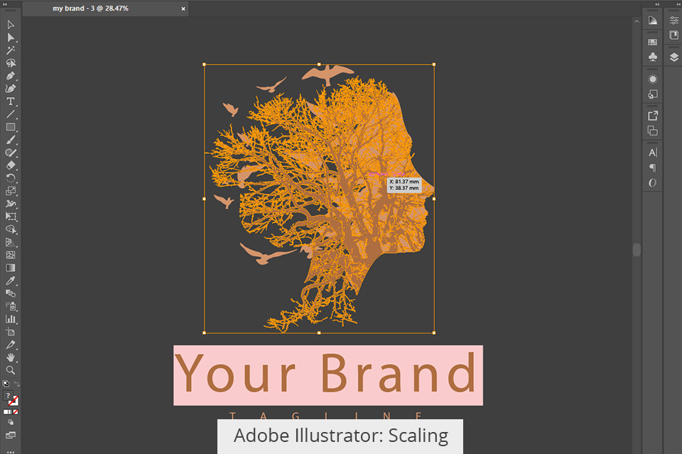 مقياس Adobe Illustrator