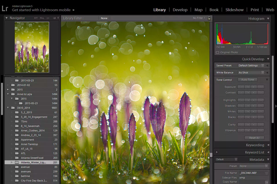 adobe lightroom bokeh