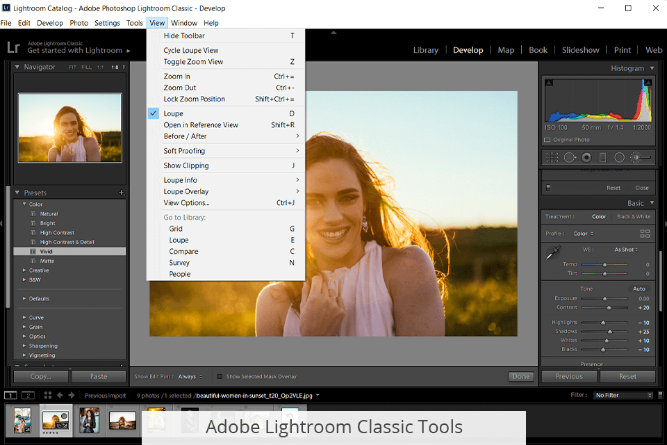 adobe lightroom classic tools