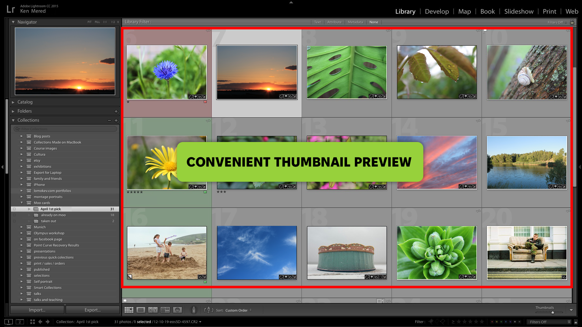 adobe lightroom daminion alternative
